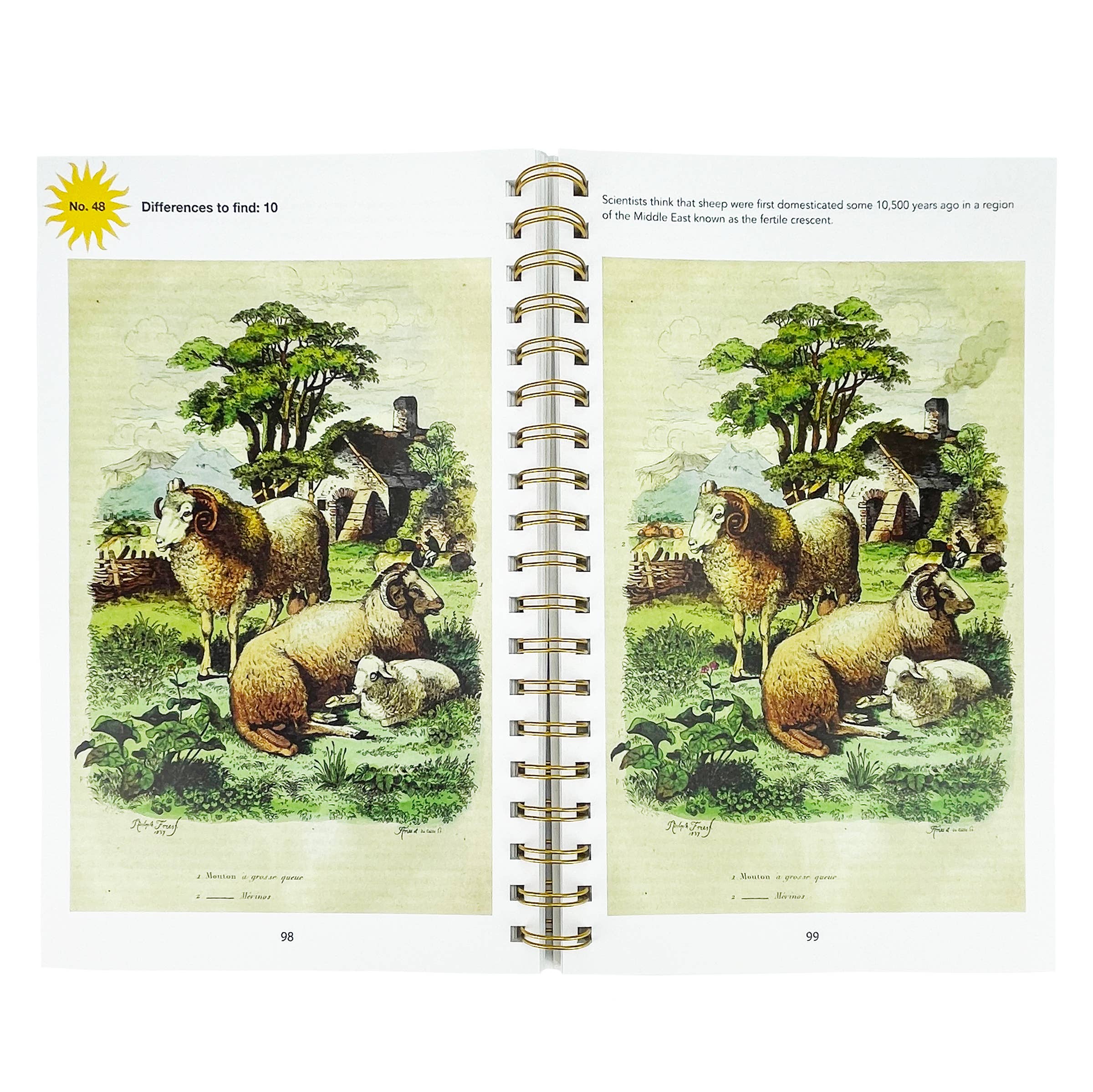 Smithsonian Spot the Difference Natural Wonders Book