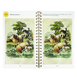 Smithsonian Spot the Difference Natural Wonders Book