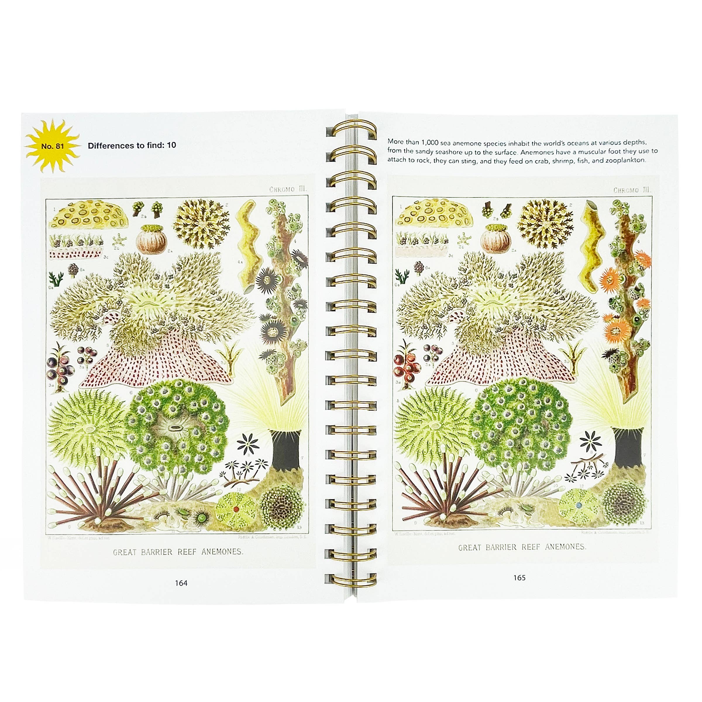 Smithsonian Spot the Difference Natural Wonders Book