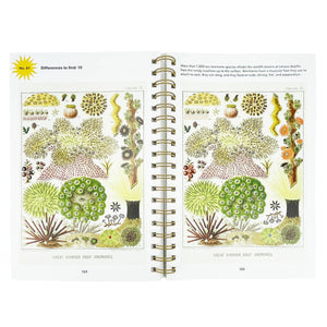 Smithsonian Spot the Difference Natural Wonders Book