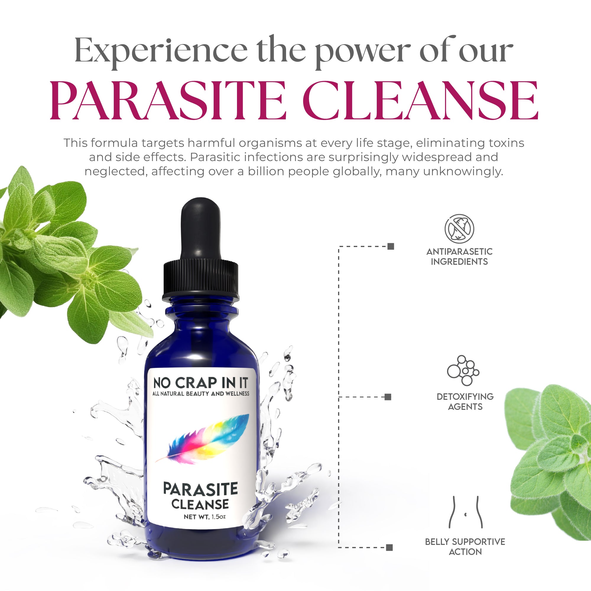 Parasite Cleanse