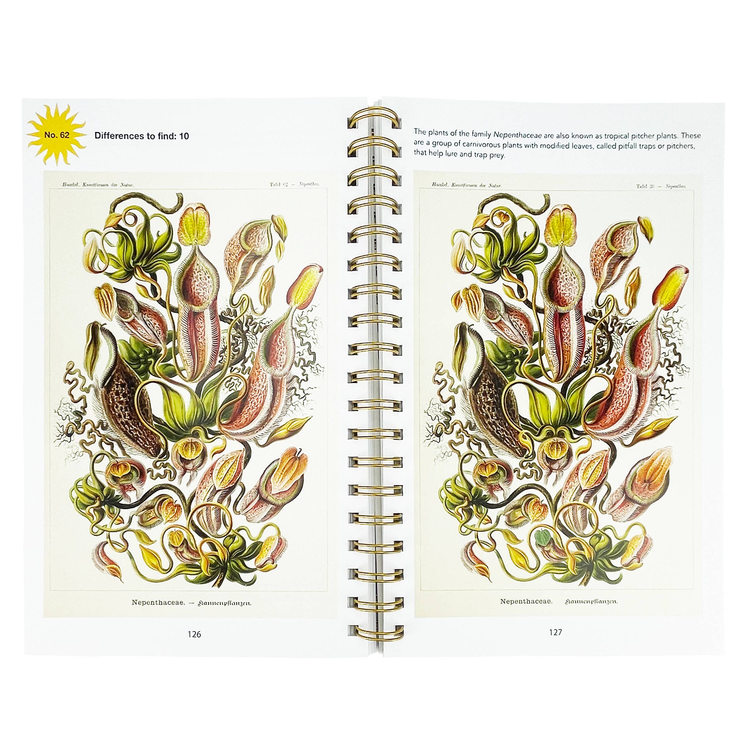 Smithsonian Spot the Difference Natural Wonders Book
