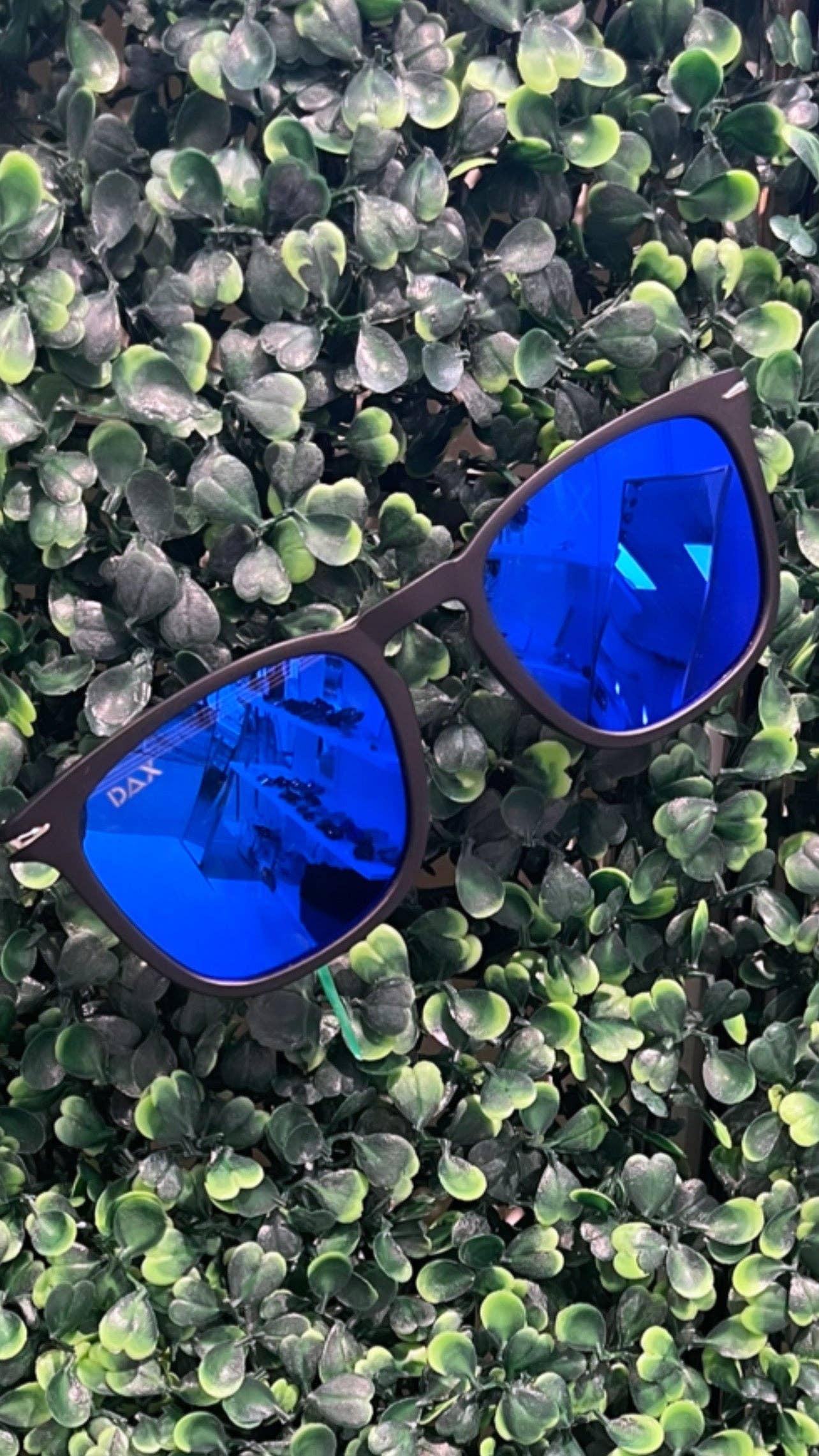 DAX Eyewear - FERRIS